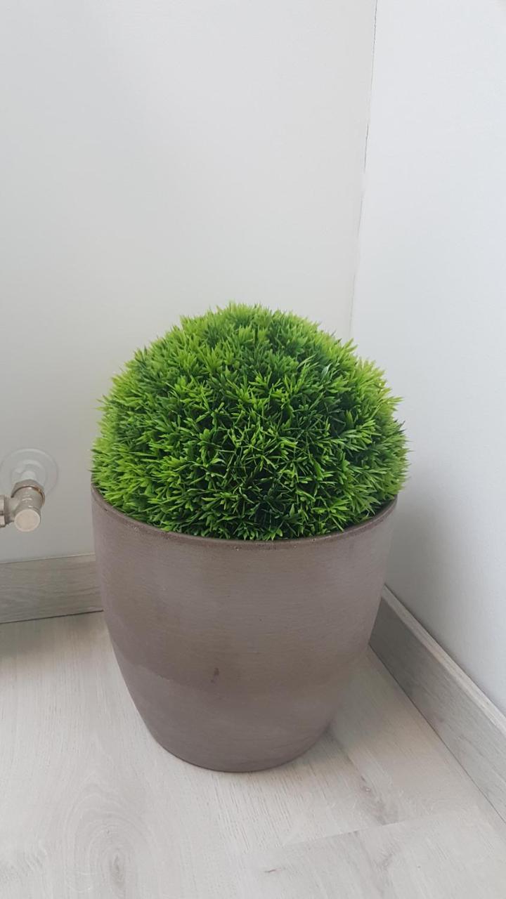 Promenad Apartman Mohács Exteriér fotografie